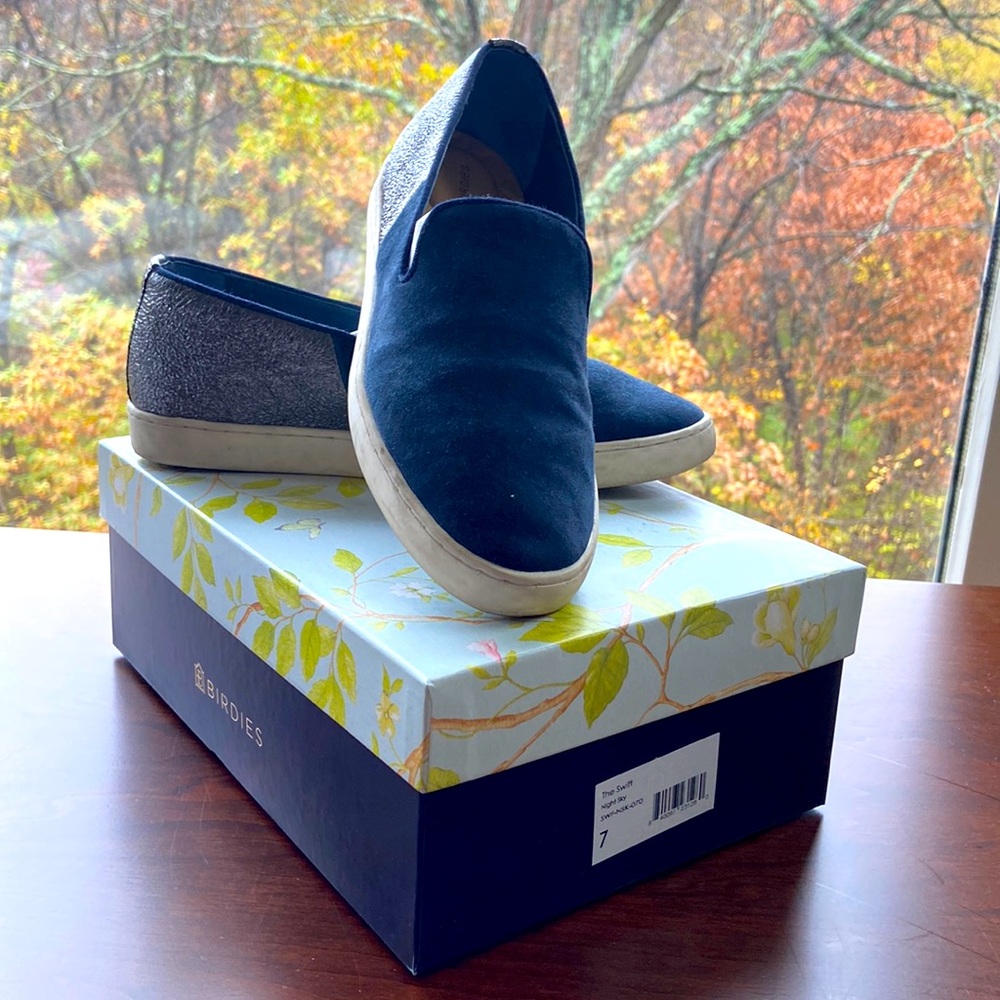 Birdies “The Swift” In Night Sky